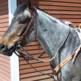 The Tack Stop German Martingale